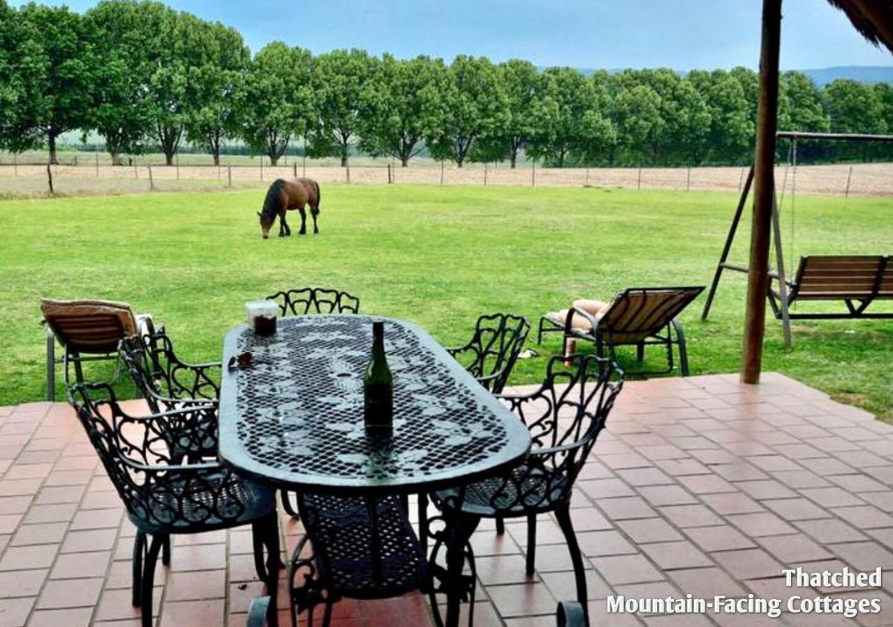 Ardmore Guest Farm Champagne Valley Luaran gambar