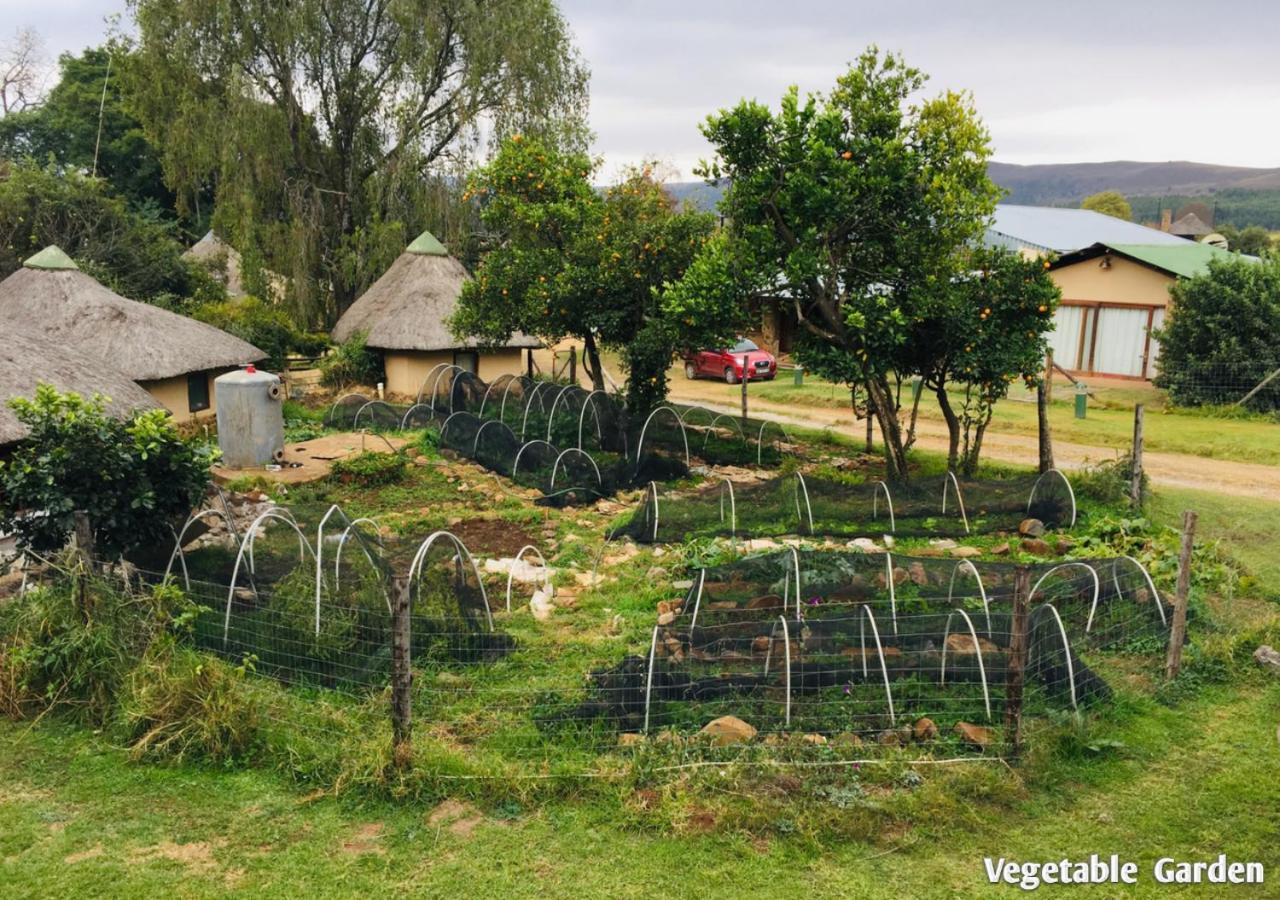 Ardmore Guest Farm Champagne Valley Luaran gambar